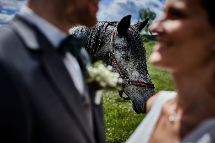 Fotografo di matrimoni Petr Salinger (petrsalinger). Foto del 16 giugno 2022