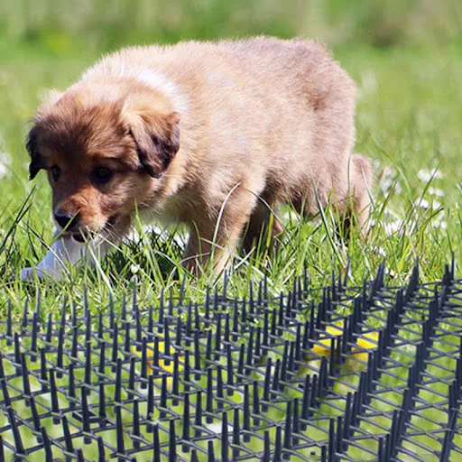 200/400cm Garden Anti-cat Dog Net Repellent Mat Safe Plastic Spike Thorn Deterrent Green Plant Protection Supply Pet Pr