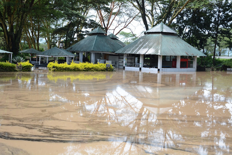 A flooded section of Delamere shopping centre in Naivasha after the nearby Karate River burst its banks displacing tens of families on Tuesday, April 21, 2020