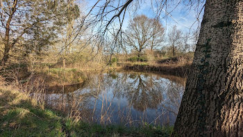 terrain à Beauvau (49)