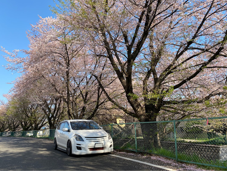 MPVの桜とコラボに関するカスタム事例の投稿画像1枚目