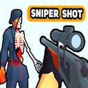 Sniper Shot Bullet Time Unblocked
