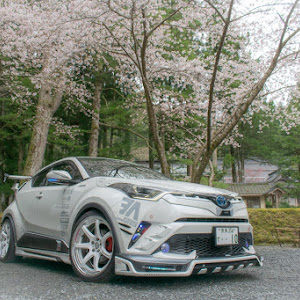 C-HR ZYX10