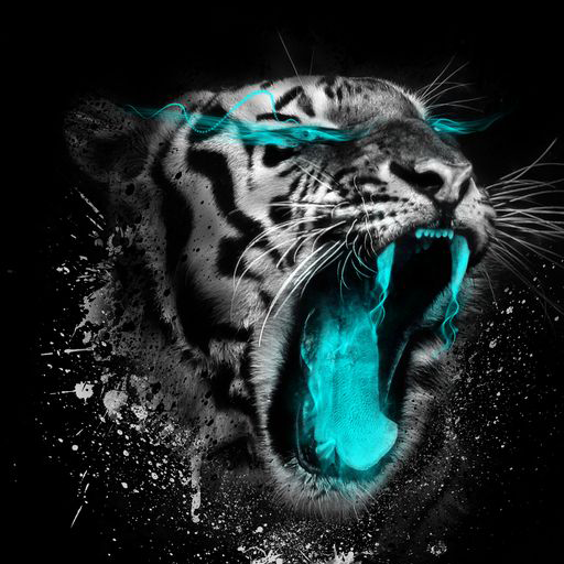 White Tiger Wallpaper HD 4K