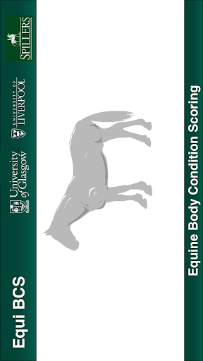 Equine Body Condition Scoring