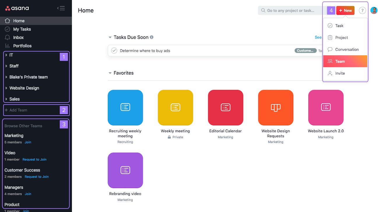 Asana dashboard view