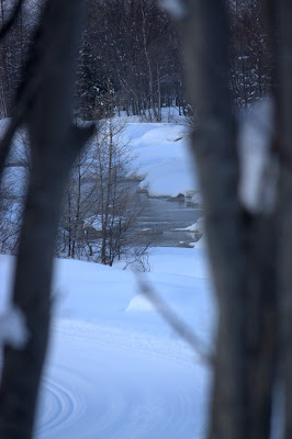 VAL FERRET di MONINIK73