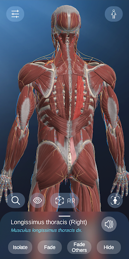 Screenshot AR Anatomy