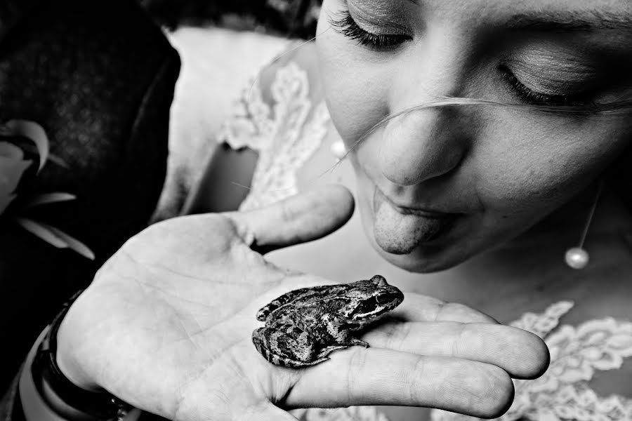 Photographe de mariage Dmitriy Feofanov (dmitryfeofanov). Photo du 25 septembre 2017