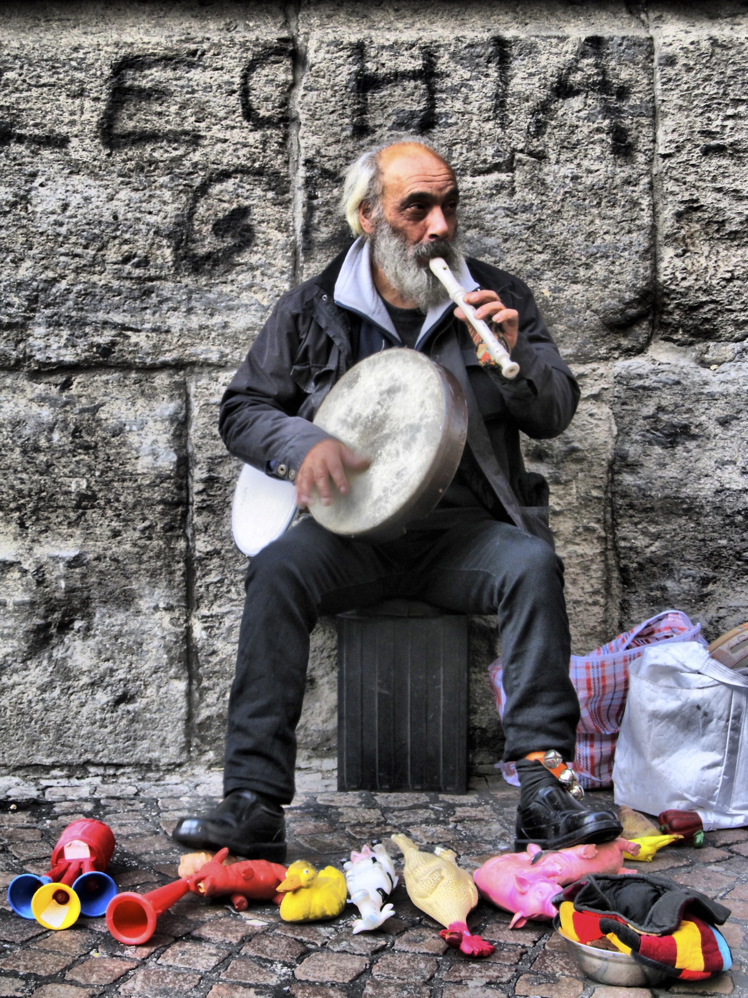 Musicanimalista di Giovanni De Luca