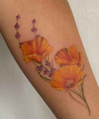 Lavender With California Poppy