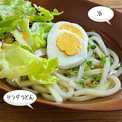 讃岐うどん「生麺」20袋、麺つゆ40袋セット