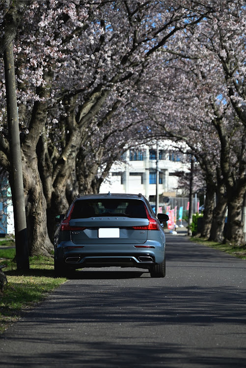 V60の桜・桜と愛車・桜とコラボ・カメ活・今週も頑張りましょうに関するカスタム事例の投稿画像8枚目