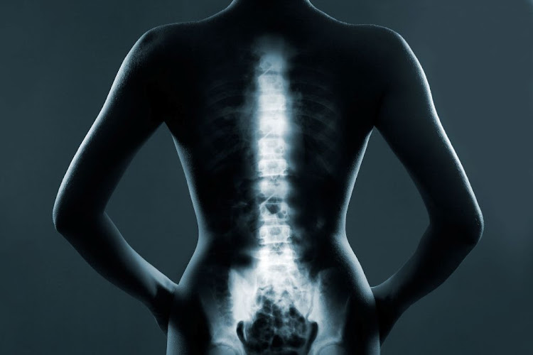 Human tissue needs to be exposed to loads to become strong – and the spine is a good example of this.