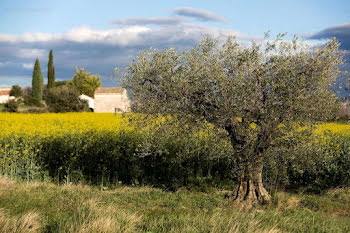 maison à Uzès (30)