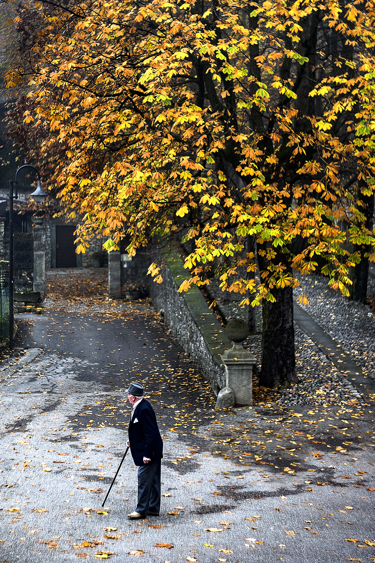 Autunno dell'Uomo e della Natura di BF48