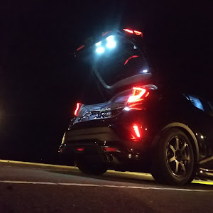 C-HR NGX50