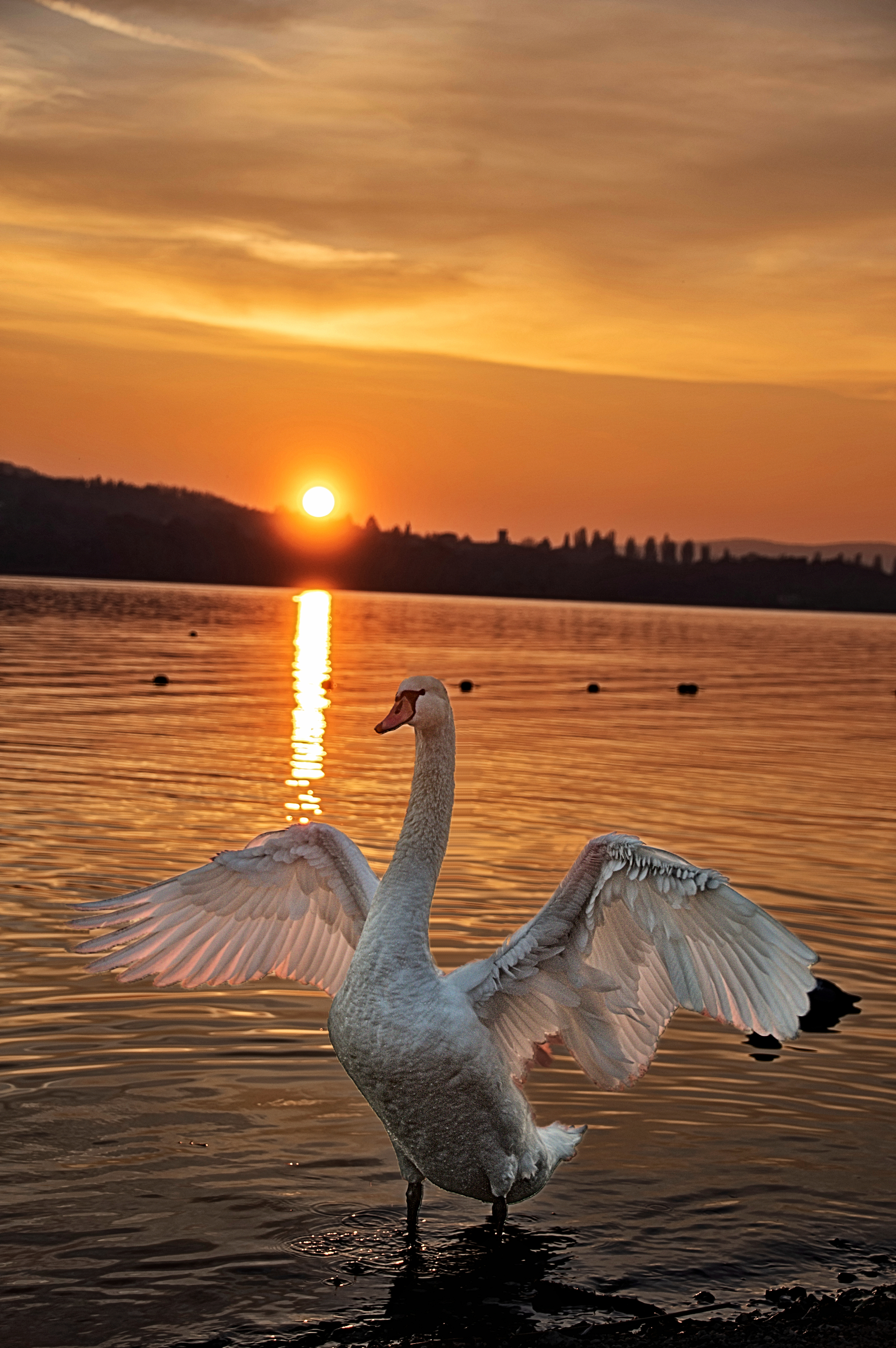 Lago di varese di Gianfranco_b