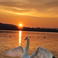 Lago di varese di 