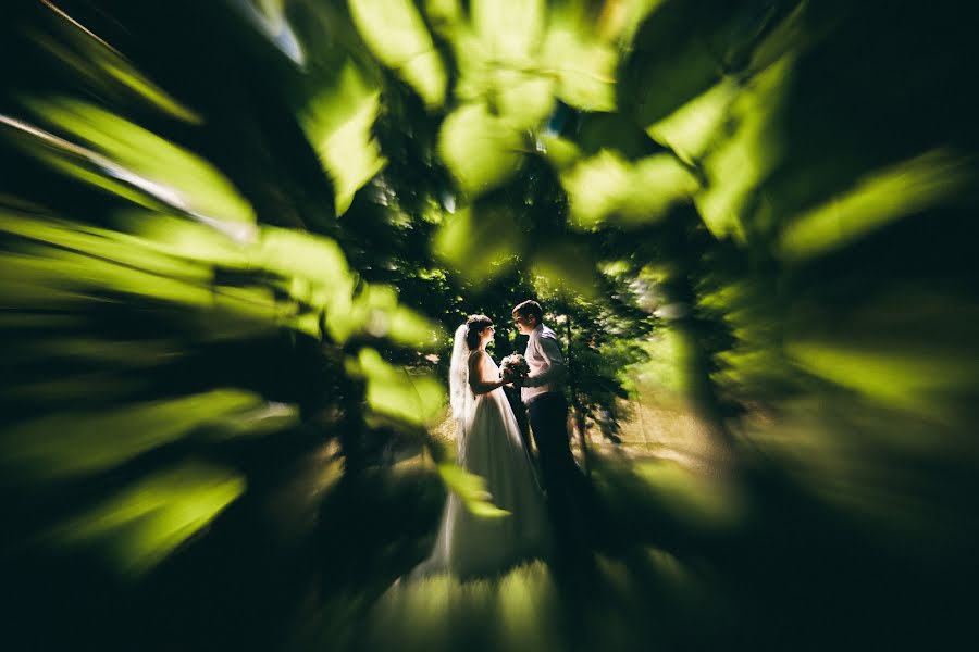 結婚式の写真家Misha Shuteev (tdsotm)。2015 8月26日の写真