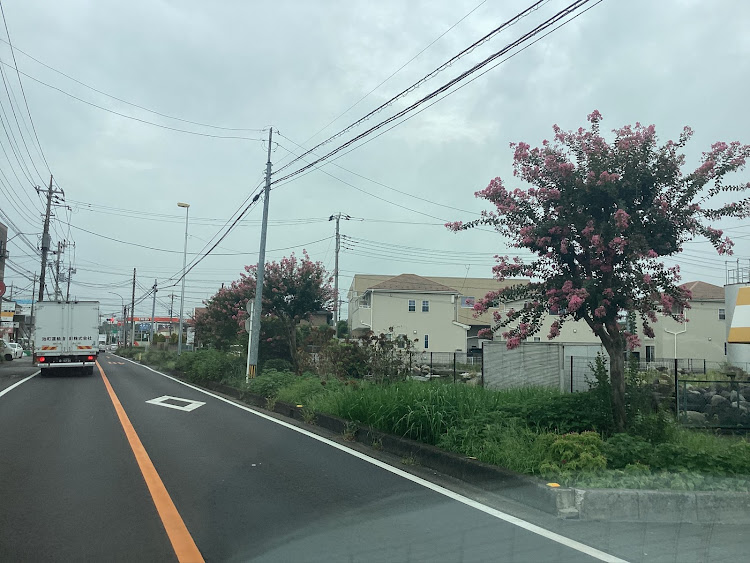 コペンの人それぞれ！生き方！価値観！物の捉え方考え方！全て違って当然！だから世の中面白いのだと思います！最高だね！！・毎日の日々を大切に！二度と今日と言う日は来ません！毎日を自分なりに満足の行く生き方！最高だね！・幸せは自分自身で見出す物で他人から与えられる物では有りません！最高だね！・おはよう御座います！本日も楽しく心❤️豊かに過ごしましょう！最高だね！・たわい無い平凡な暮らしにこそ幸せ有り！最高だね！に関するカスタム事例の投稿画像30枚目