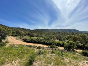 terrain à Figari (2A)