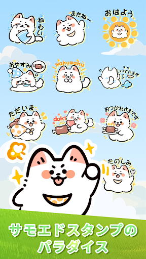 Screenshot Cute Samoyed - WAStickerApps