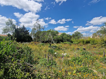 terrain à Narbonne (11)