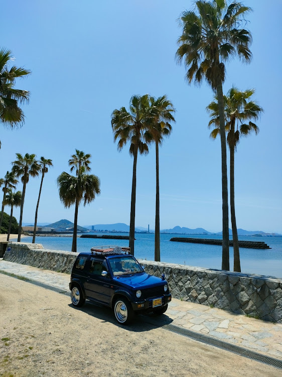 パジェロミニのパジェロミニとお散歩・ヤシの木🌴・海・夏🏝️に関するカスタム事例の投稿画像2枚目