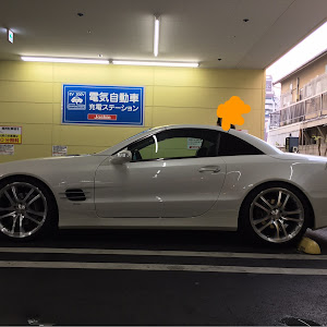 SL R230