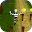 Jungle Play 3D Runner Download on Windows
