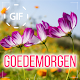 Download Dutch Good Morning Good Day Gifs Images For PC Windows and Mac 1.05.3