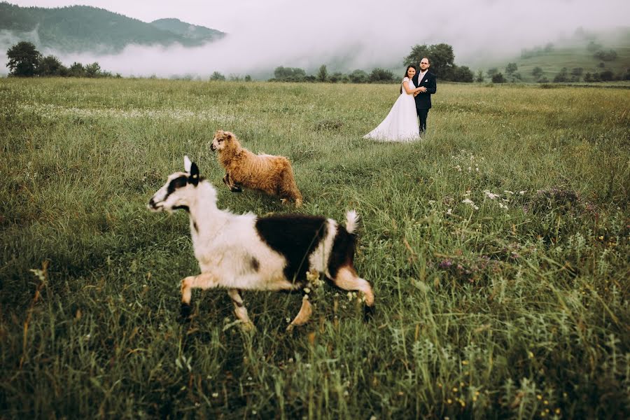 Fotografo di matrimoni Haitonic Liana (haitonic). Foto del 10 aprile 2019