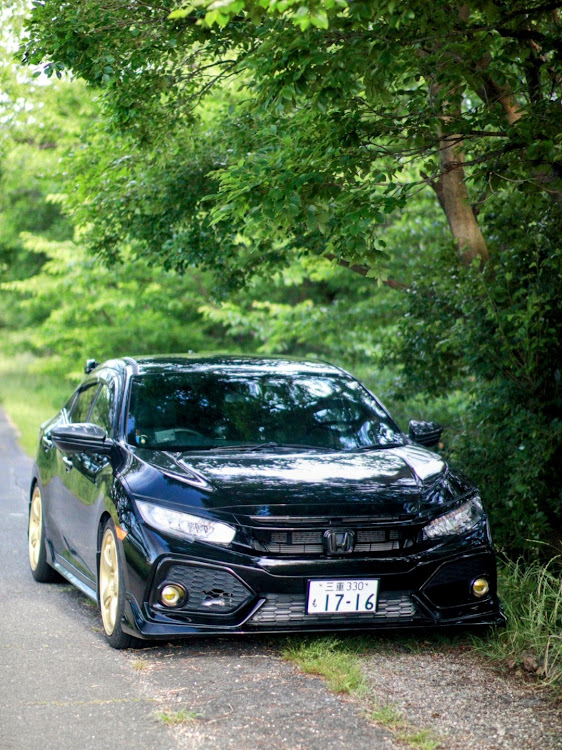 シビック(欧州HB)の新緑と愛車・単焦点レンズ📸・６月もよろしくお願いしますに関するカスタム事例の投稿画像2枚目