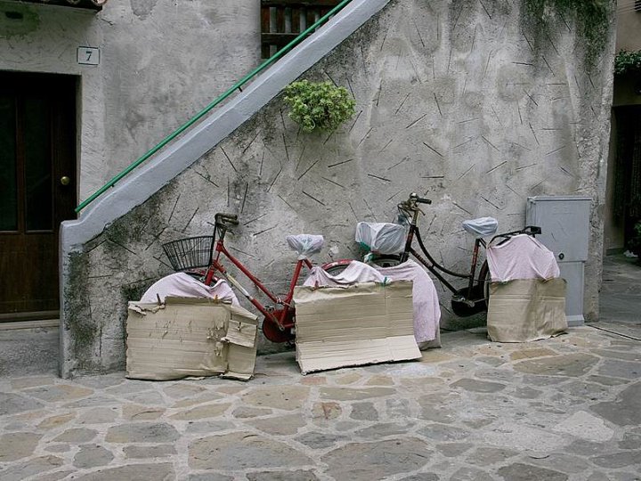 Bici in letargo di lavera