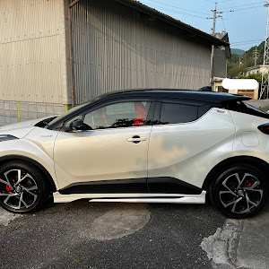 C-HR ZYX11