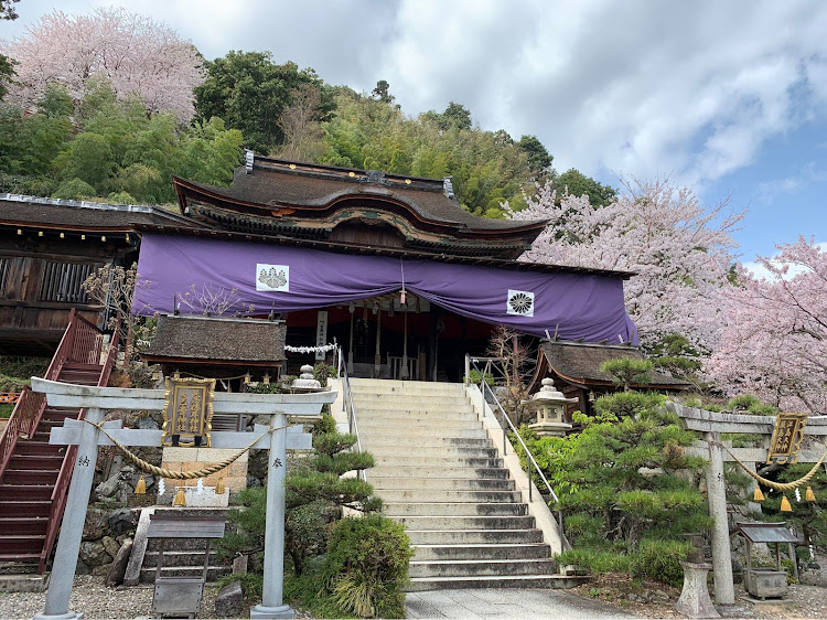 Aクラス ハッチバックの桜とコラボ・ドライブ・食いチューン・地元の さくら🌸スポット巡り・カメカツに関するカスタム事例の投稿画像10枚目