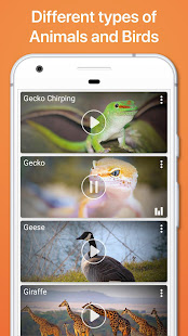 Animal Sounds Ringtones(圖4)-速報App