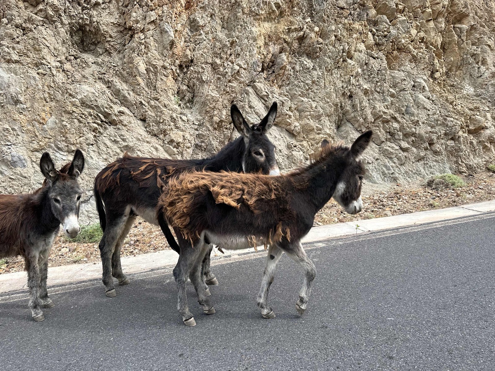 Santo Antáo, Cabo Verde. 