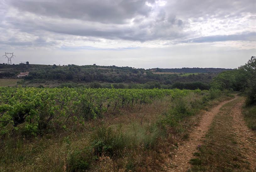  Vente Terrain à bâtir - 31 410m² à Murviel-lès-Béziers (34490) 