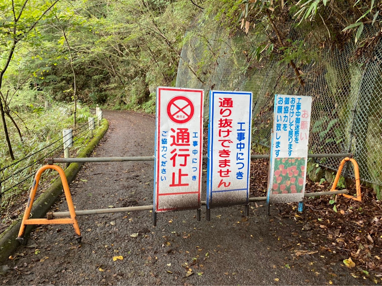 デリカD:5の4x4・BFGOODRICH・林道・graver・筑波山に関するカスタム事例の投稿画像27枚目