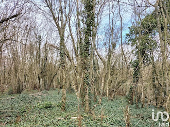 terrain à Mailly-le-Camp (10)