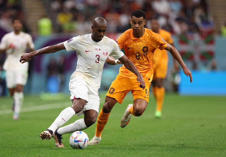 Abdelkarim Hassan of Qatar and Cody Gakpo of Netherlands battle for possession during the FIFA World Cup Qatar 2022 Group A match between Netherlands and Qatar at Al Bayt Stadium on November 29, 2022 in Al Khor, Qatar.