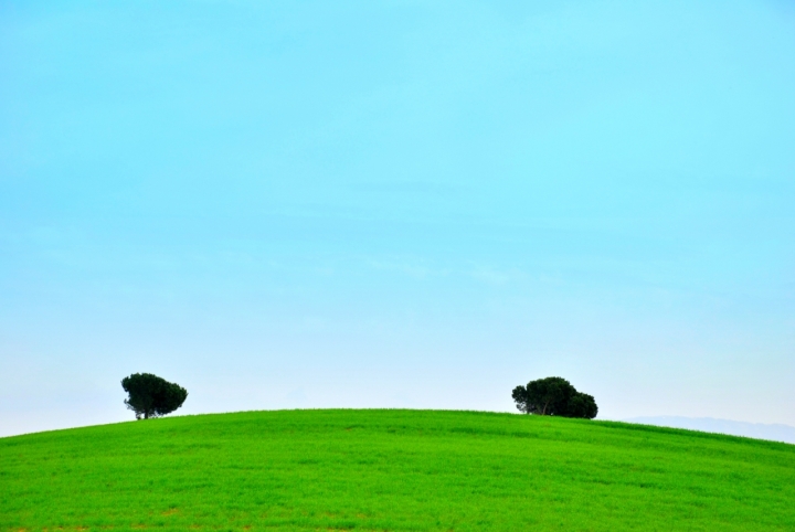 Doppia solitudine di caterina56