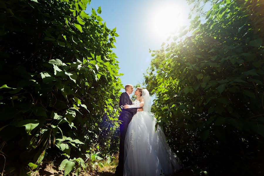 Fotografo di matrimoni Sergey Filin (kulibin2). Foto del 20 giugno 2015