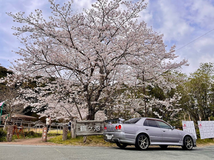 スカイラインのR仕様・ER34 4ドア・R34スカイライン・PickUp Cars 2021・桜と愛車に関するカスタム事例の投稿画像2枚目