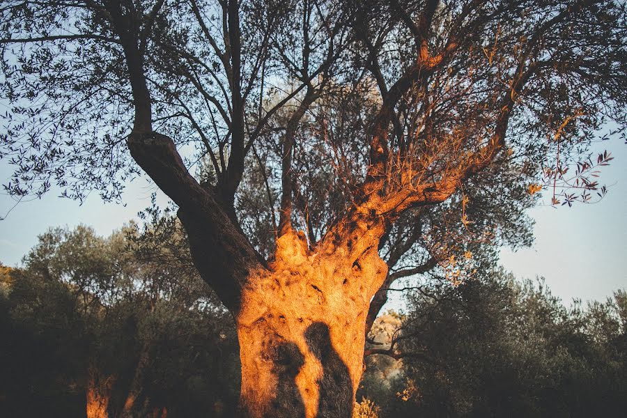 Düğün fotoğrafçısı Georgiy Korshiya (georgy). 18 Haziran 2016 fotoları