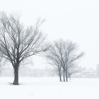 Generale Inverno di 