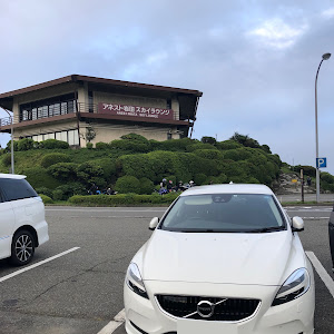 V40 T3