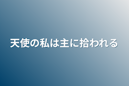 天使の私は主に拾われる